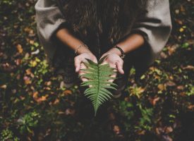 pexels-lucasallmann-612892