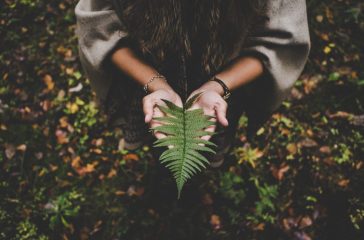 pexels-lucasallmann-612892 pexels-lucasallmann-612892
