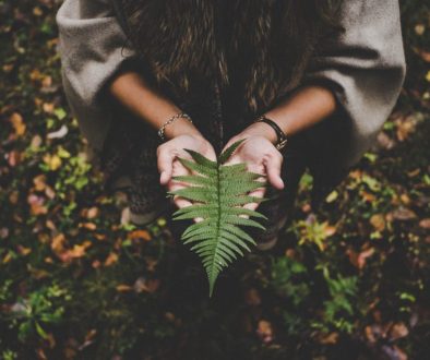 pexels-lucasallmann-612892