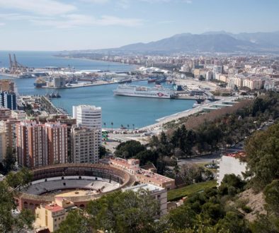 pexels-francisco-merida-45419868-7464456